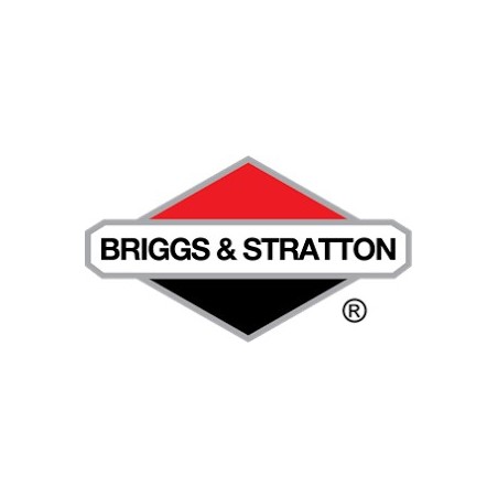 BRIGGS & STRATTON