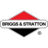 BRIGGS & STRATTON