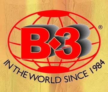 B3 ASTILLADORAS
